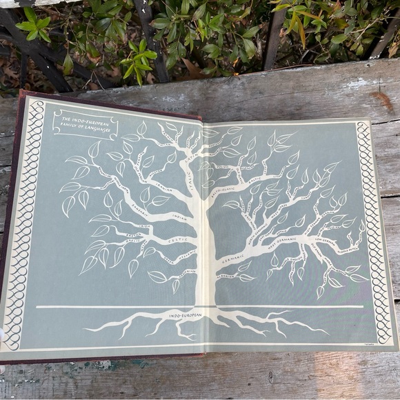 Websters Dictionary new twentieth century 1964 - Picture 6 of 10